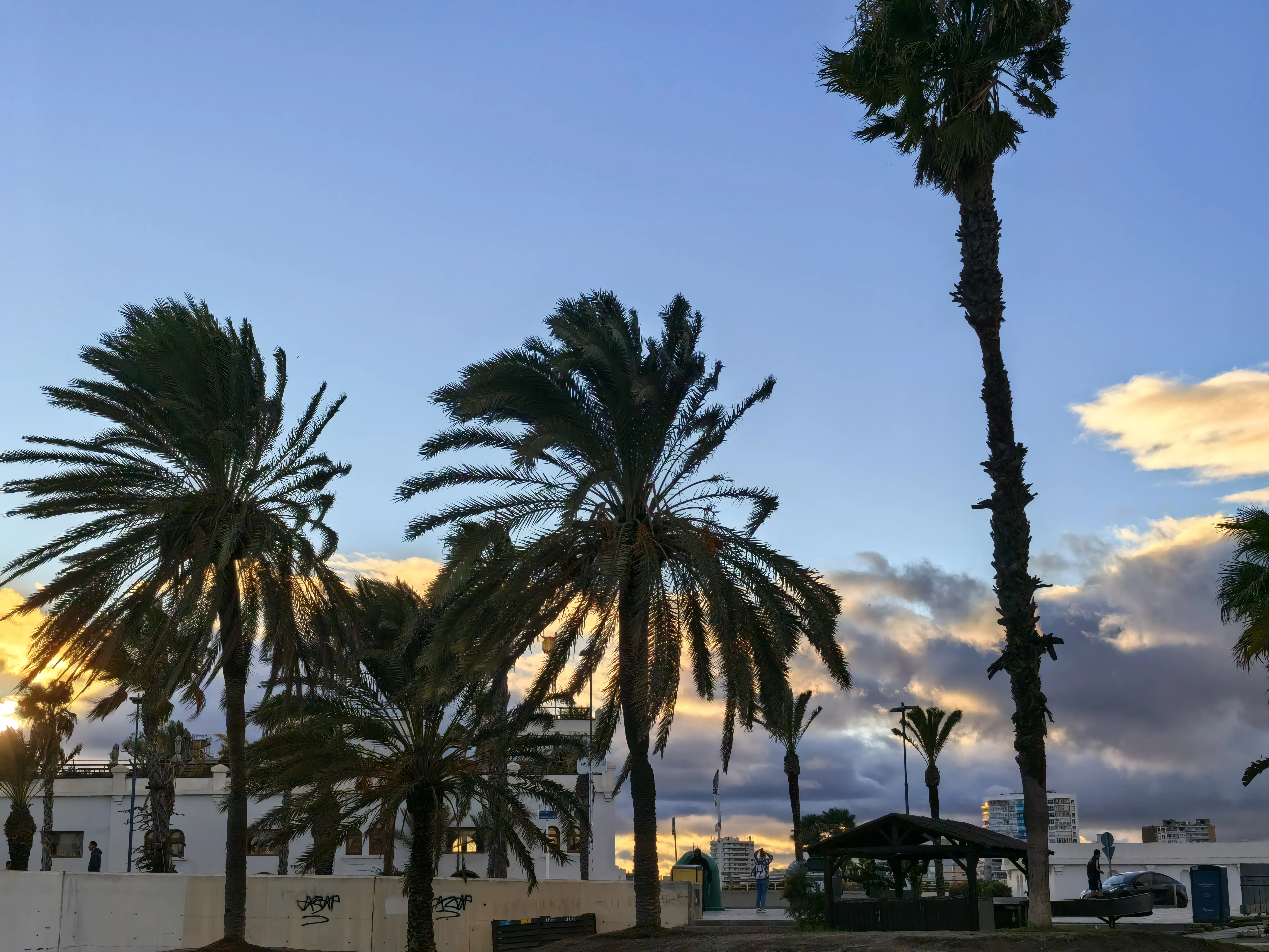 HUAWEI Pura 70 Ultra - System Aparatów - IMG_20251117_173637.webp